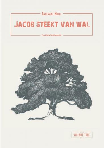 Omslag van Jacob steekt van wal