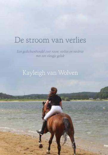 Omslag van De stroom van verlies