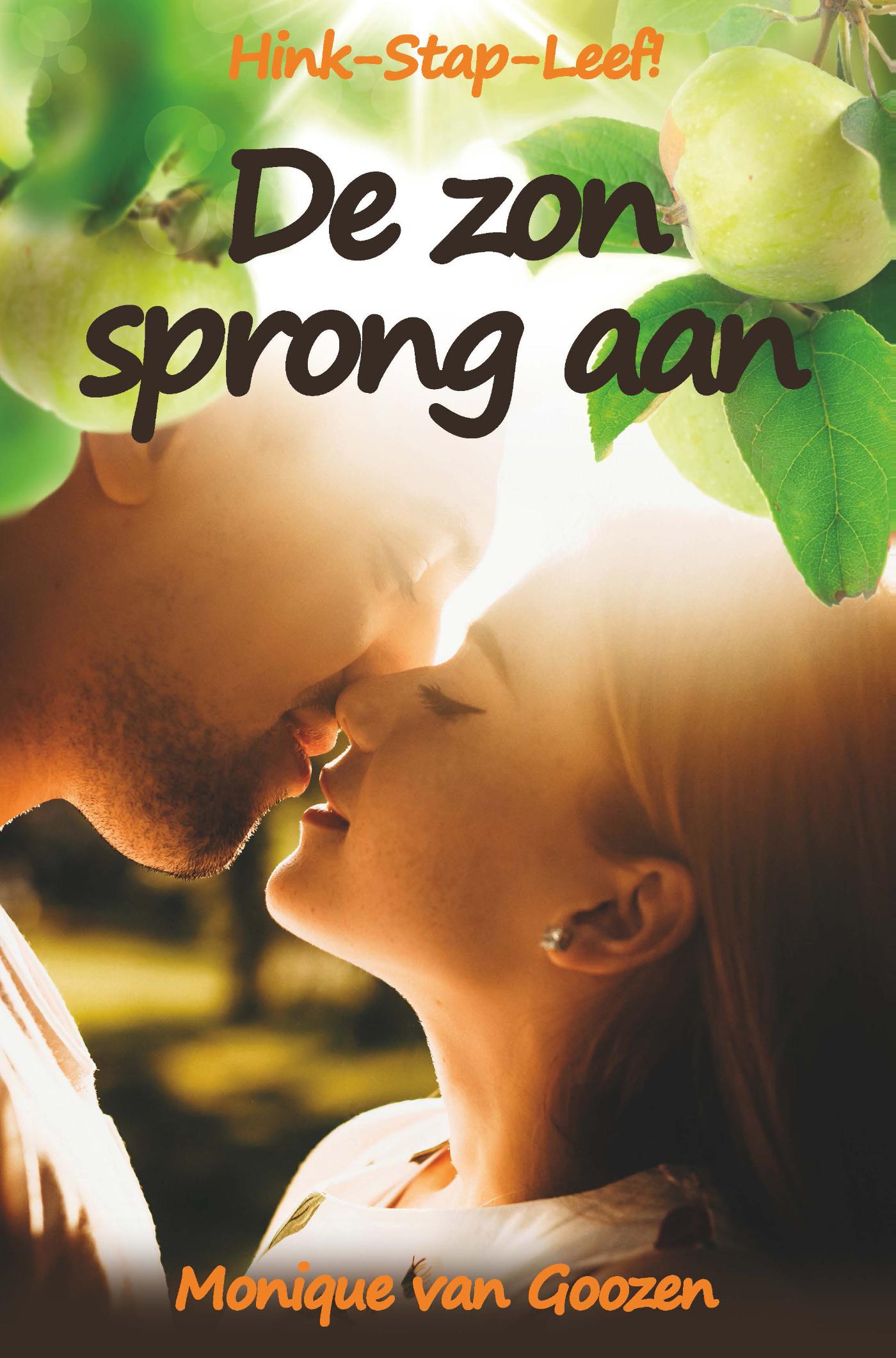 Omslag van De zon sprong aan