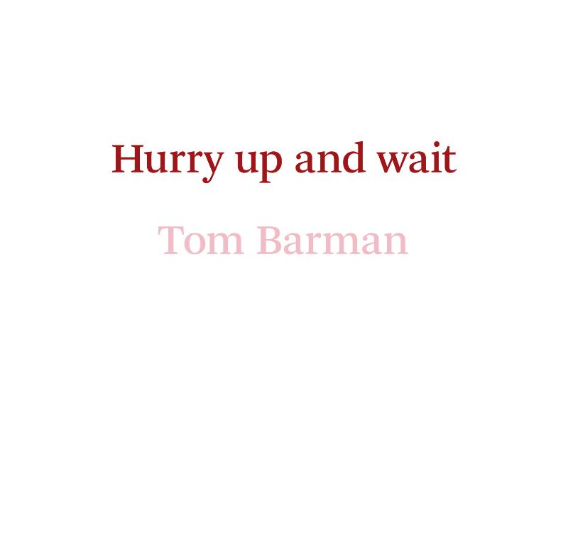 Omslag van Hurry up and wait