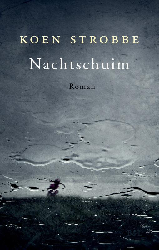 Omslag van Nachtschuim