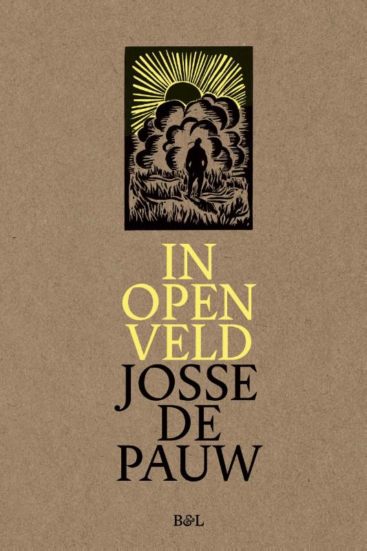 Omslag van In open veld