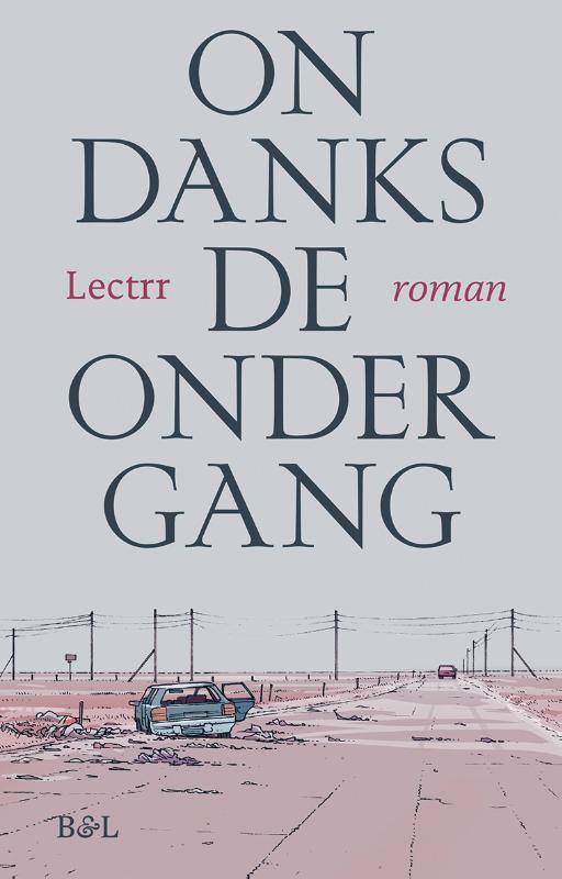 Omslag van Ondanks de ondergang