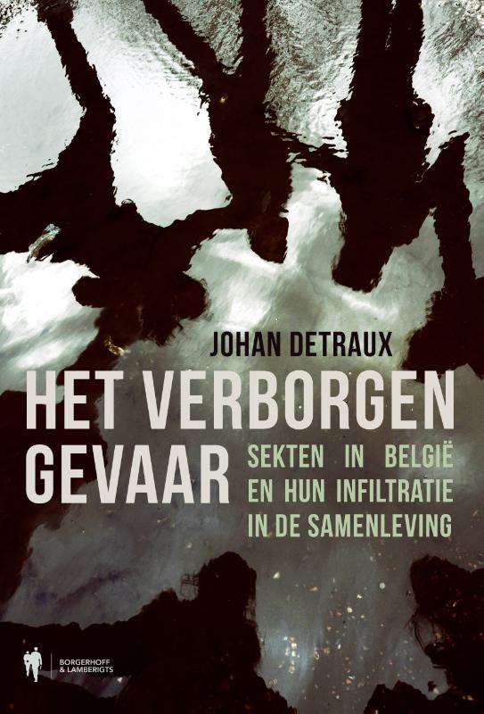 Omslag van Het verborgen gevaar