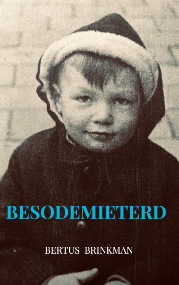 Omslag van Besodemieterd