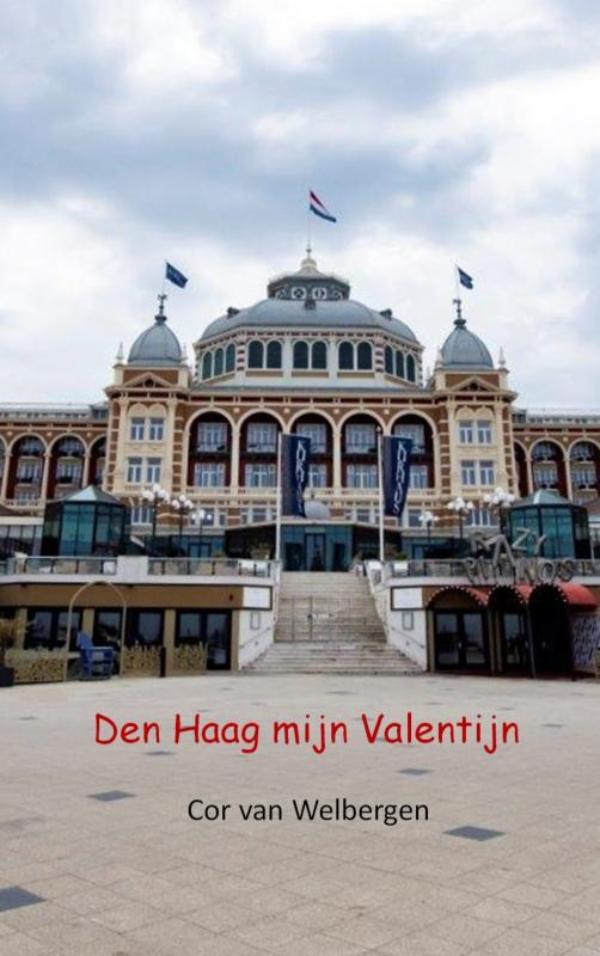 Omslag van Den Haag mijn Valentijn
