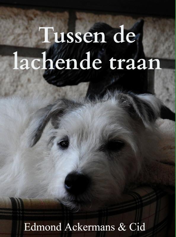Omslag van Tussen de lachende traan