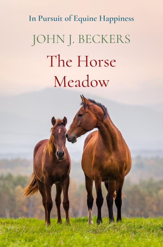 Omslag van The Horse Meadow