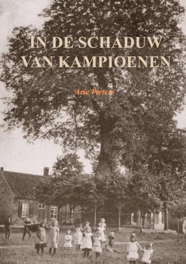Omslag van In de schaduw van kampioenen