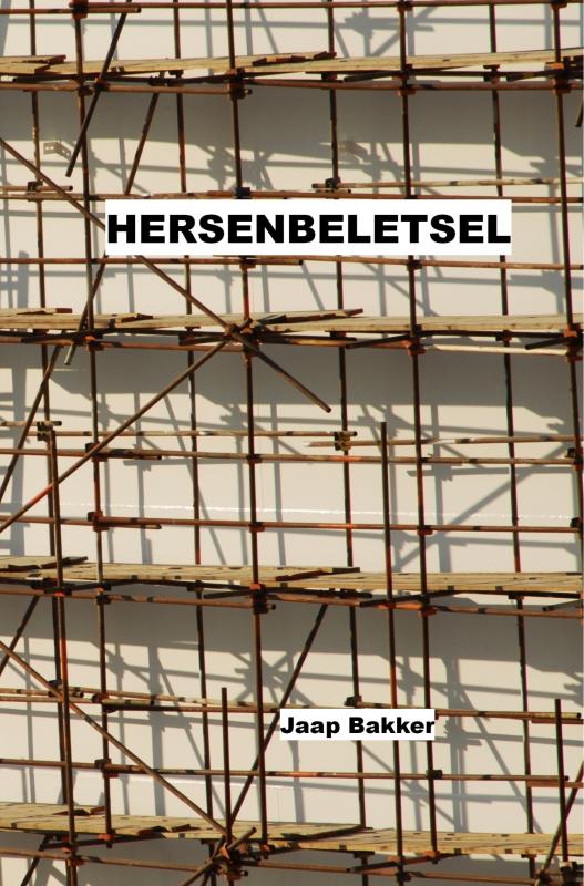 Omslag van Hersenbeletsel