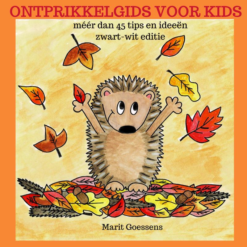 Omslag van Ontprikkelgids voor kids