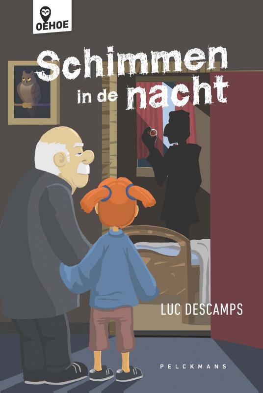 Omslag van Schimmen in de nacht