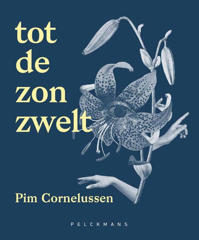 Omslag van Tot de zon zwelt