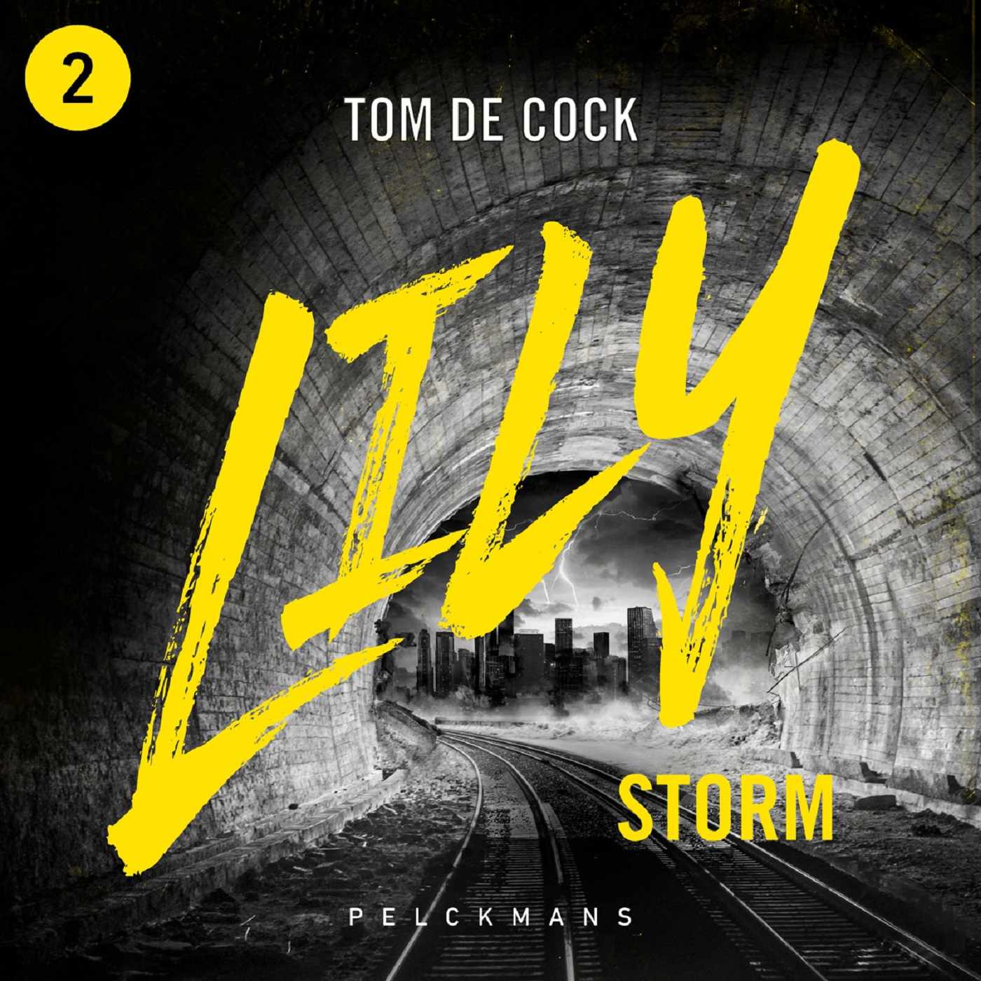 Omslag van Storm