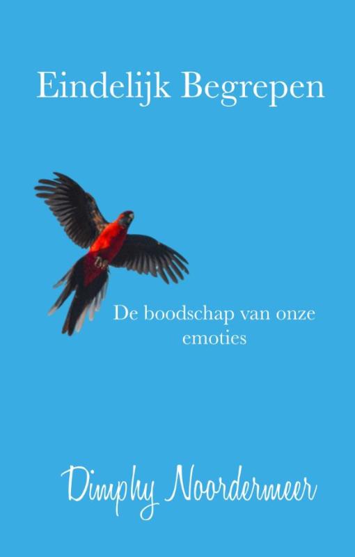 Omslag van Eindelijk begrepen