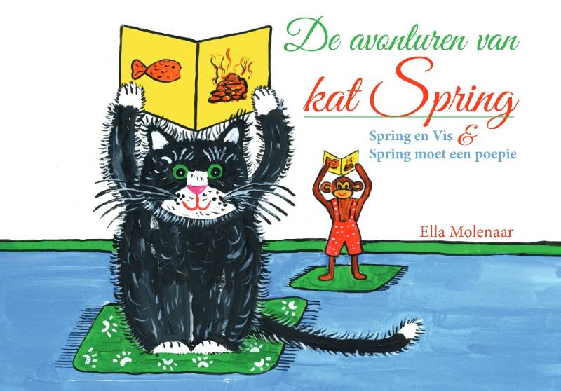 Omslag van De avonturen van kat Spring