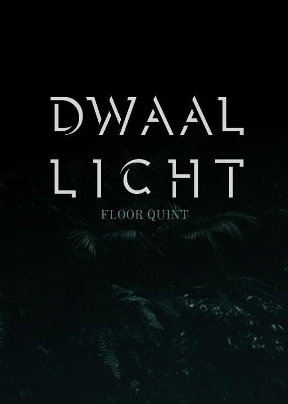 Omslag van Dwaallicht