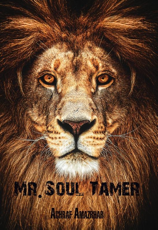 Omslag van Mr. Soul Tamer