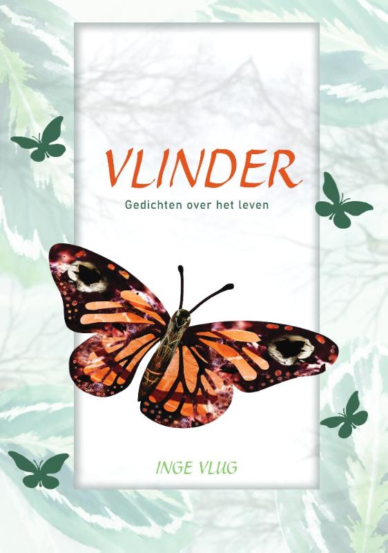 Omslag van Vlinder