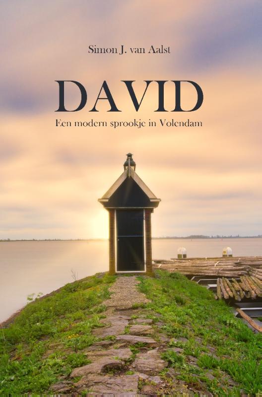 Omslag van David