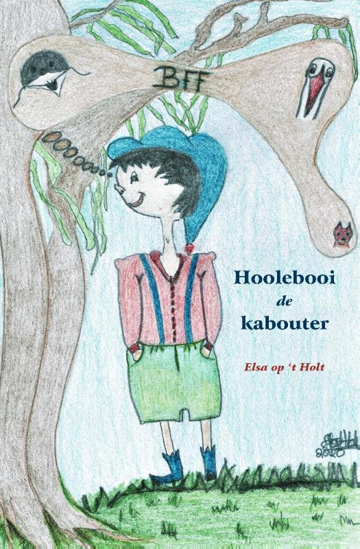 Omslag van Hoolebooi de Kabouter