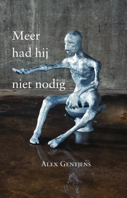 Omslag van Meer had hij niet nodig