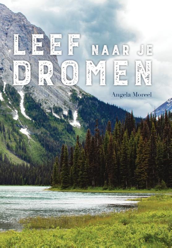 Omslag van Leef naar je dromen
