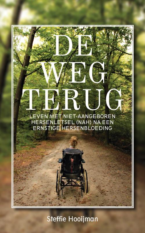 Omslag van De weg terug