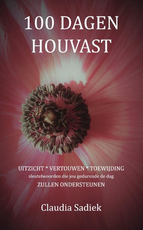 Omslag van 100 DAGEN HOUVAST