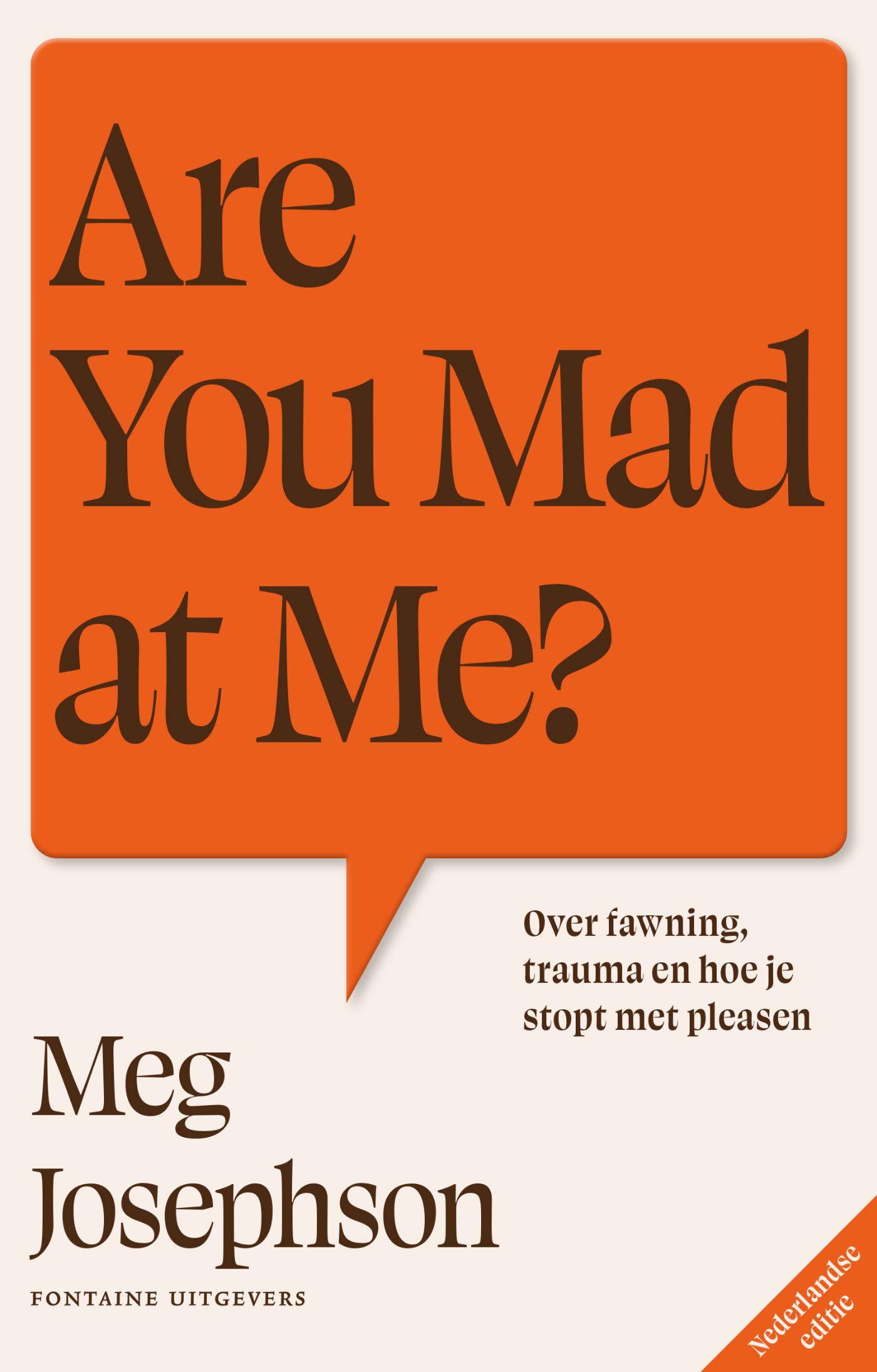 Omslag van Are You Mad at Me?