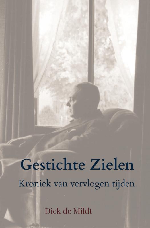 Omslag van Gestichte Zielen