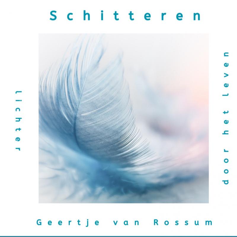 Omslag van Schitteren