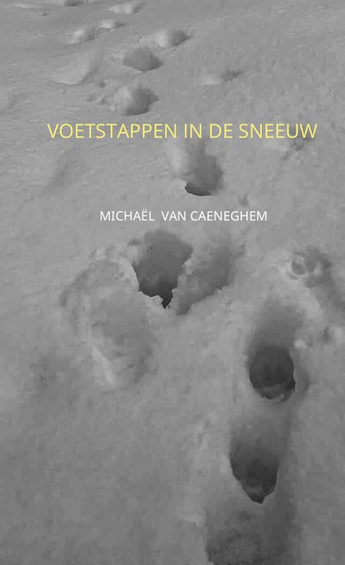 Omslag van Voetstappen in de sneeuw