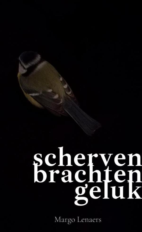 Omslag van scherven brachten geluk