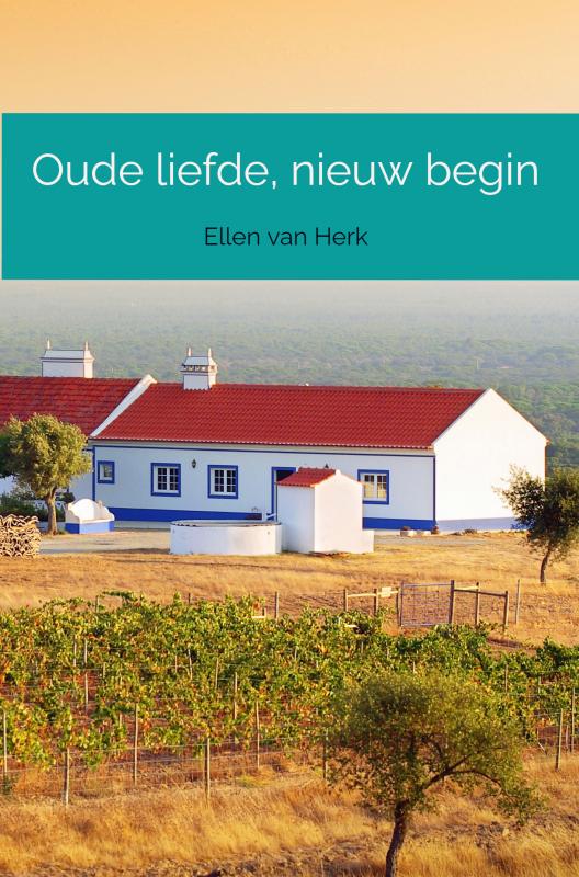 Omslag van Oude liefde, nieuw begin