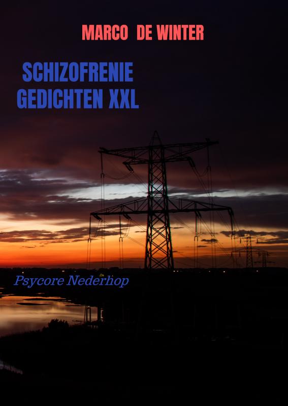 Omslag van Schizofrenie gedichten XXL