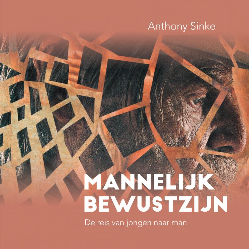 Omslag van Mannelijk Bewustzijn