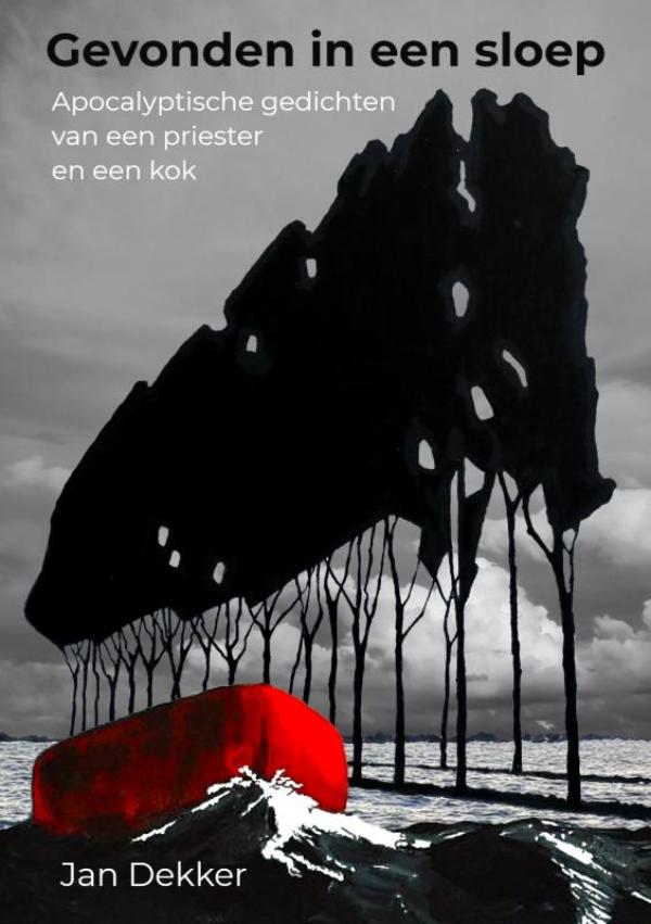 Omslag van Gevonden in een sloep