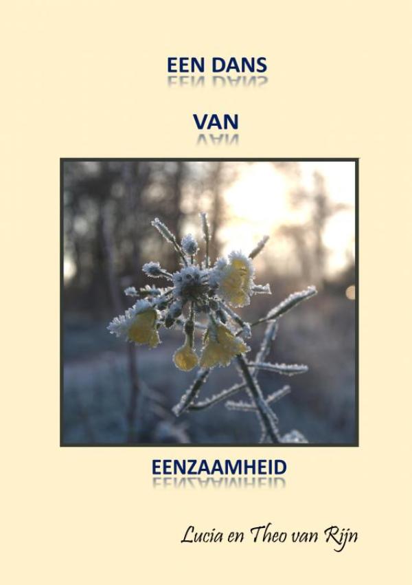Omslag van Een dans van eenzaamheid