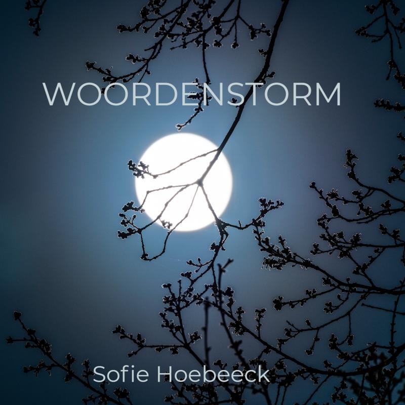Omslag van Woordenstorm