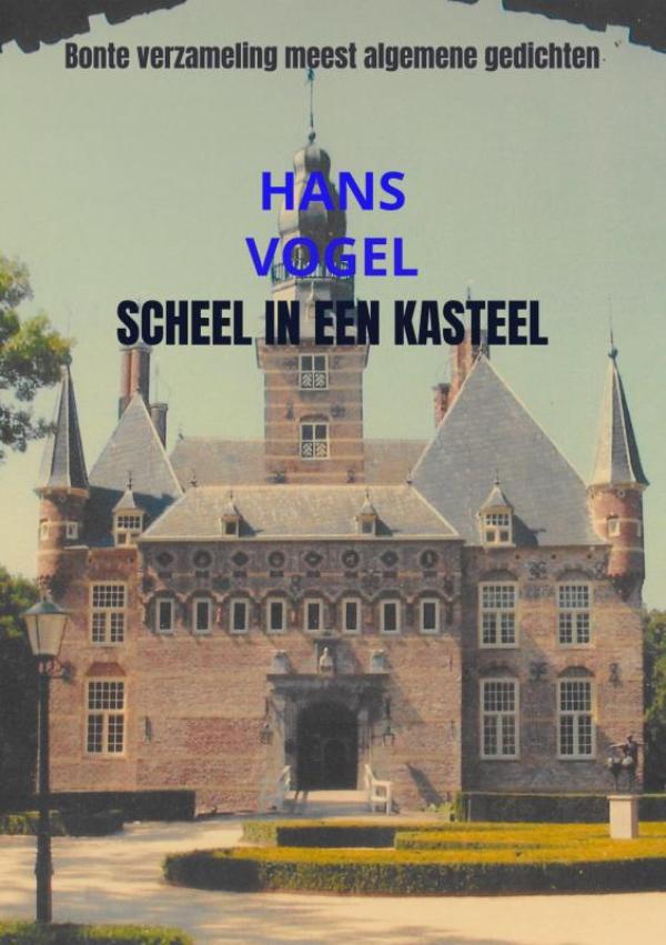 Omslag van Scheel in een kasteel