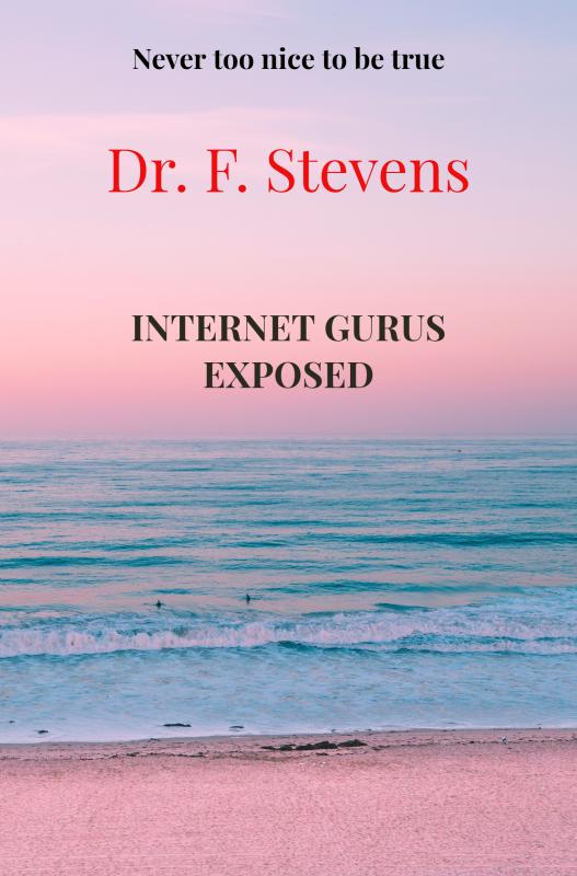 Omslag van Internet gurus exposed