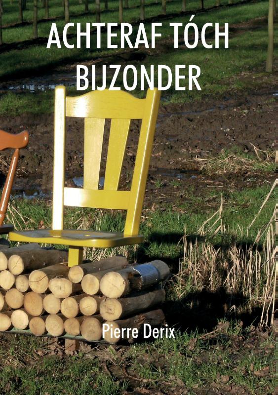 Omslag van Achteraf toch bijzonder