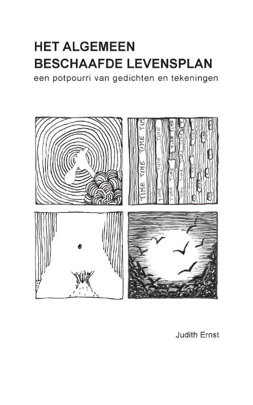Omslag van HET ALGEMEEN BESCHAAFDE LEVENSPLAN
