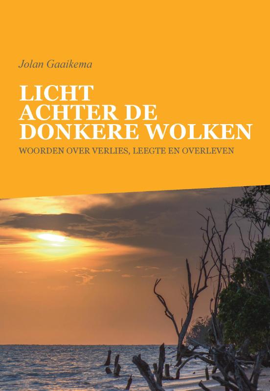 Omslag van Licht achter de donkere wolken