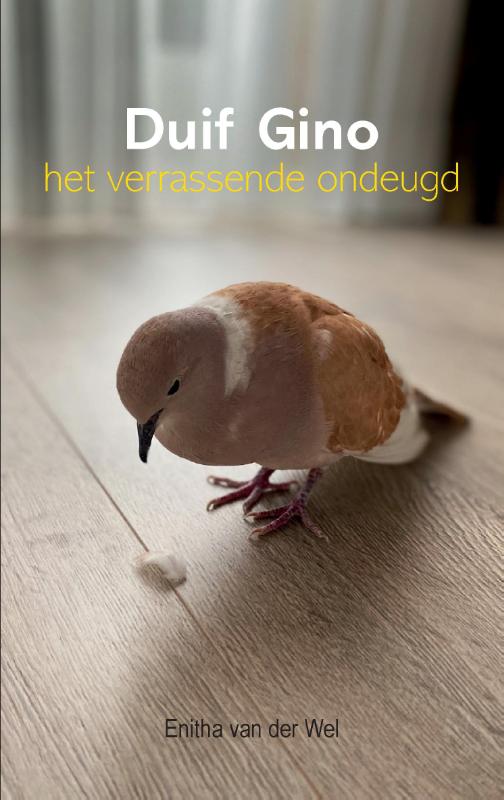 Omslag van Duif Gino