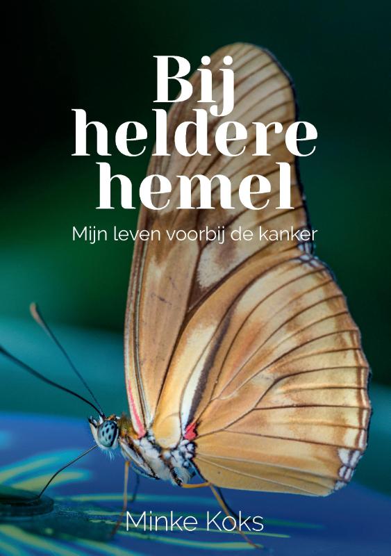 Omslag van Bij heldere hemel
