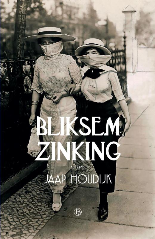 Omslag van Bliksemzinking