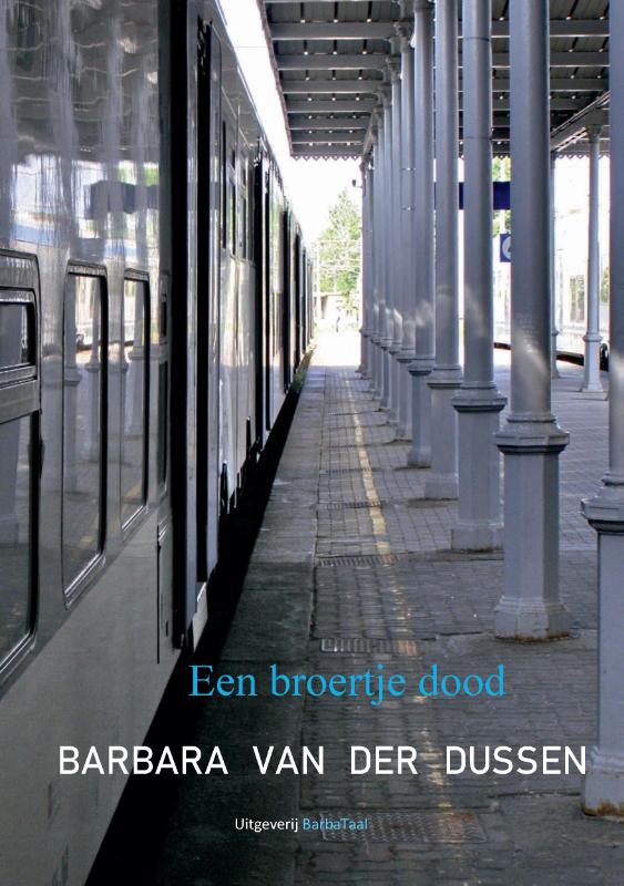 Omslag van Een broertje dood