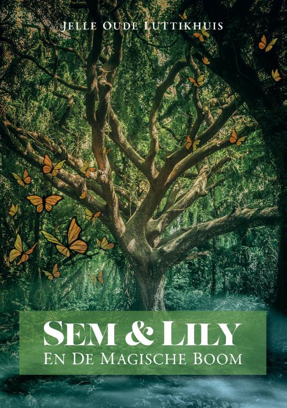 Omslag van Sem & Lily